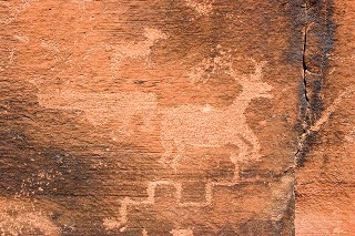Deer, Coyote, Steps Petroglyphs 